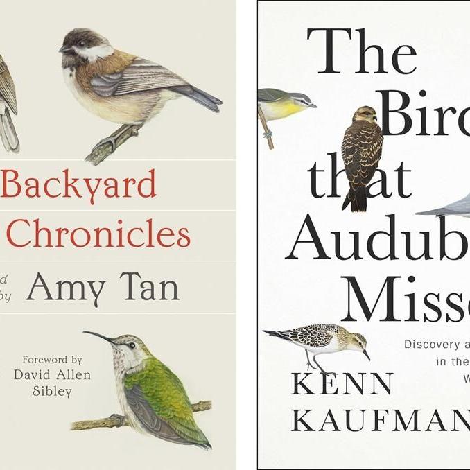 Book Review: Novelist Amy Tan shares love of the natural world in 'The Backyard Bird Chronicles'